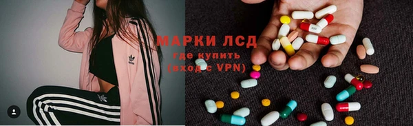 стаф Магас