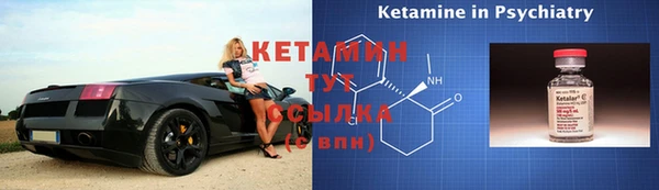 стаф Магас