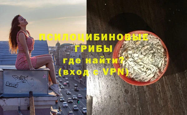стаф Магас