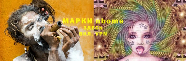 стаф Магас