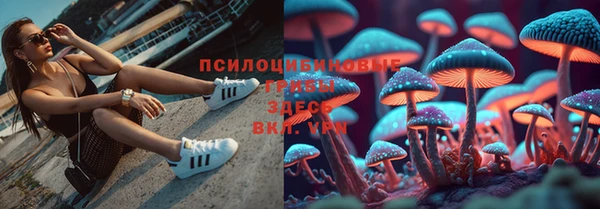 стаф Магас