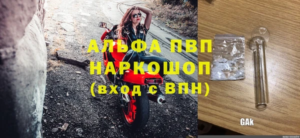 стаф Магас