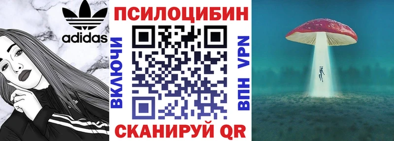 Псилоцибиновые грибы Magic Shrooms  Купить где  Нефтегорск 